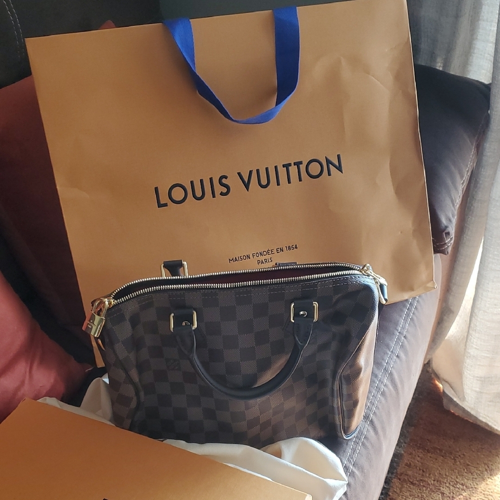 Louis Vuitton Brown Checkered Handbag with Gold Accents